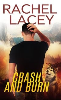 Produktbild: Crash and Burn