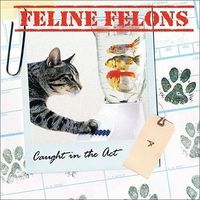 Produktbild: Feline Felons
