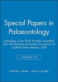 Produktbild: Minter, N: Special Papers in Palaeontology, Ichnology of an