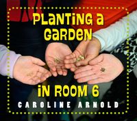 Produktbild: Planting a Garden in Room 6