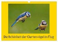 Produktbild: Die Sch&ouml;nheit der Gartenv&ouml;gel im Flug (Wandkalender 2027 DIN A3 quer), CALVENDO Monatskalender