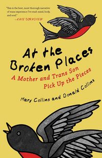 Produktbild: At the Broken Places