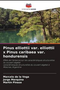 Produktbild: Pinus elliottii var. elliottii x Pinus caribaea var. hondurensis