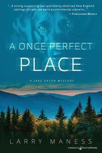 Produktbild: A Once Perfect Place