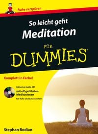 Bild vom Artikel So leicht geht Meditation für Dummies vom Autor Stephan Bodian