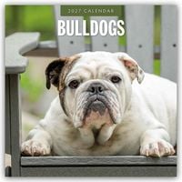 Produktbild: Bulldogs &ndash; Bulldoggen 2027 &ndash; 16-Monatskalender