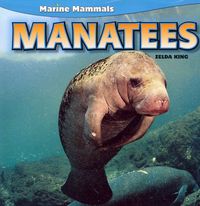 Produktbild: Manatees