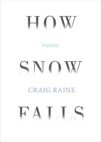 Produktbild: Raine, C: How Snow Falls