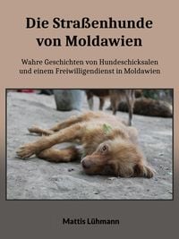 Produktbild: Die Stra&szlig;enhunde von Moldawien