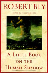 Produktbild: A Little Book on the Human Shadow