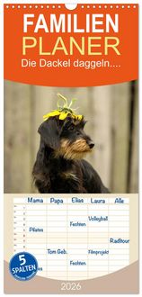Produktbild: Familienplaner 2026 - Die Dackel daggeln.... mit 5 Spalten (Wandkalender, 21 x 45 cm) CALVENDO