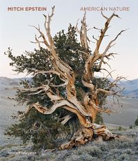Produktbild: Mitch Epstein