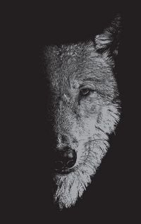 Produktbild: In the company of wolves