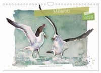 Produktbild: M&ouml;wen - Aquarelle von Julia Pasinski (Wandkalender 2026 DIN A4 quer), CALVENDO Monatskalender