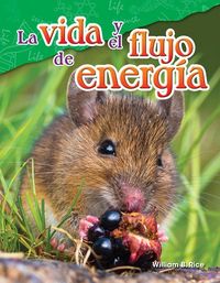 Produktbild: Vida y el flujo de energia