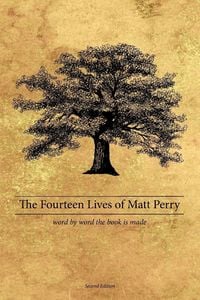 Produktbild: The Fourteen Lives of Matt Perry