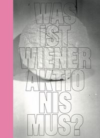 Produktbild: Was ist Wiener Aktionismus?