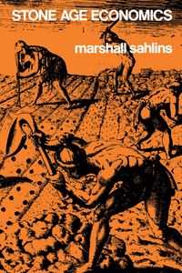 Produktbild: Stone Age Economics