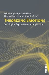 Produktbild: Theorizing Emotions