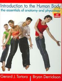 Produktbild: Introduction to the Human Body, w. CD-ROM