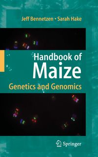 Produktbild: Handbook of Maize