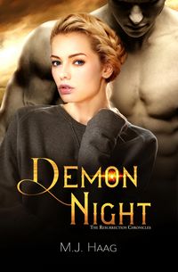 Produktbild: Demon Night