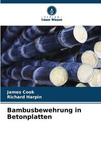 Produktbild: Bambusbewehrung in Betonplatten