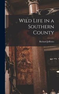 Produktbild: Wild Life in a Southern County