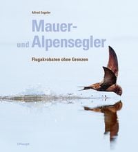 Produktbild: Mauer- und Alpensegler