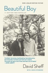 Produktbild: Beautiful Boy (Tie-In)