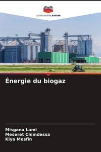 Produktbild: &Eacute;nergie du biogaz