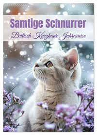 Produktbild: Samtige Schnurrer (Wandkalender 2026 DIN A2 hoch), CALVENDO Monatskalender