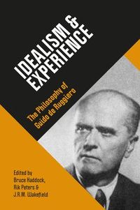 Produktbild: Idealism & Experience