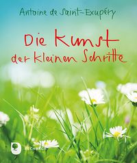 Produktbild: Die Kunst der kleinen Schritte