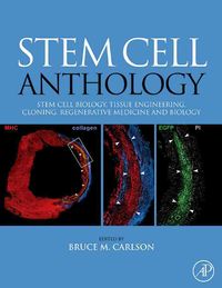 Produktbild: Stem Cell Anthology