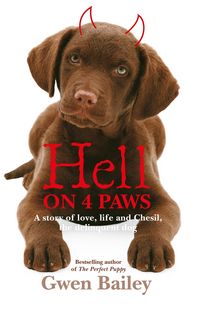 Produktbild: Hell On 4 Paws
