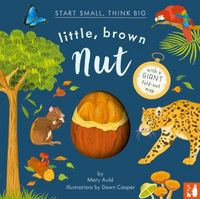 Produktbild: Little, Brown Nut