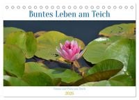 Produktbild: Buntes Leben am Teich (Tischkalender 2026 DIN A5 quer), CALVENDO Monatskalender