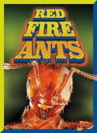 Produktbild: Red Fire Ants