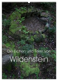 Produktbild: Die Eichen und Feen von Wildenstein (Wandkalender 2026 DIN A2 hoch), CALVENDO Monatskalender