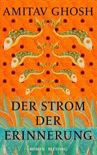 Produktbild: Der Strom der Erinnerung