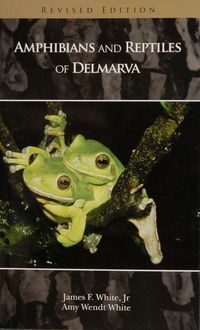 Produktbild: Amphibians and Reptiles of Delmarva