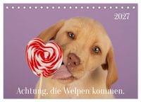 Produktbild: Achtung die Welpen kommen. (Tischkalender 2027 DIN A5 quer), CALVENDO Monatskalender