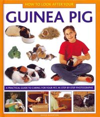 Produktbild: How to Look After Your Guinea Pig