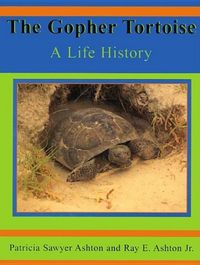 Produktbild: Gopher Tortoise