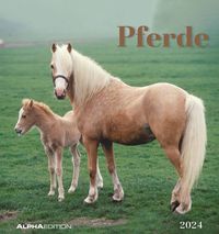 Bild vom Artikel Pferde 2024 - Postkartenkalender 16x17 cm - Horses - zum Aufstellen oder Aufhängen - Monatskalendarium - Gadget - Mitbringsel - Alpha Edition vom Autor 