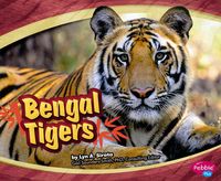 Produktbild: Bengal Tigers