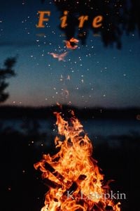 Produktbild: Fire