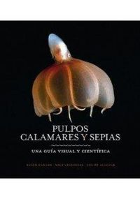 Produktbild: Pulpos, calamares y sepias