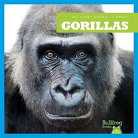 Produktbild: Gorillas